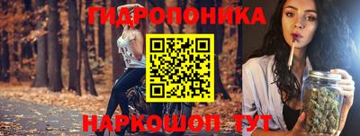 гашик Лесосибирск