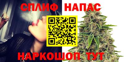 гашик Лесосибирск